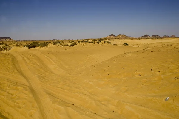 Ägypten Oase Der Bahariya Weißen Wüste Einem Sonnigen Tag — Stockfoto