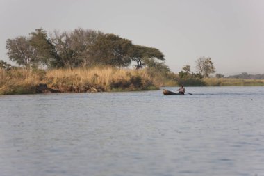 Zambezi Nehri Zambiya görünümünü güneşli bir günde.
