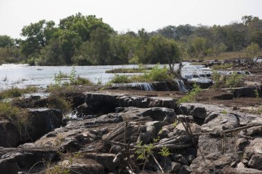 Zambezi Nehri Zambiya görünümünü güneşli bir günde.