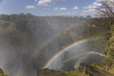 Victoria Falls Zimbabve Çift Kişilik gökkuşağının güneşli bir günde
