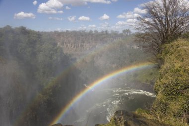 Victoria Falls Zimbabve Çift Kişilik gökkuşağının güneşli bir günde