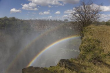 Victoria Falls Zimbabve Çift Kişilik gökkuşağının güneşli bir günde