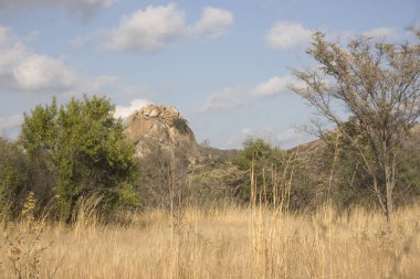 Zimbabve Matobo Milli Parkı güneşli bir günde