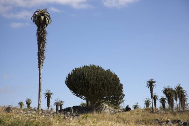 Güneşli bir günde Dziba antik şehir Zimbabve Harabeleri