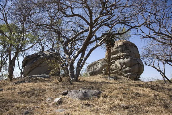 Zimbabwe Dhlo Dhlo Monumento Nazionale Una Giornata Autunno Soleggiata — Foto Stock