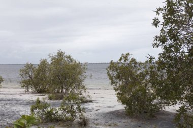 Madagaskar dramatik manzara