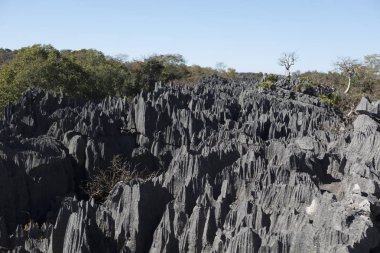 Madagaskar Tsingy De Bemaraha Milli Parklar güneşli bir yaz gününde