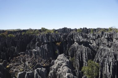 Madagaskar Tsingy De Bemaraha Milli Parklar güneşli bir yaz gününde