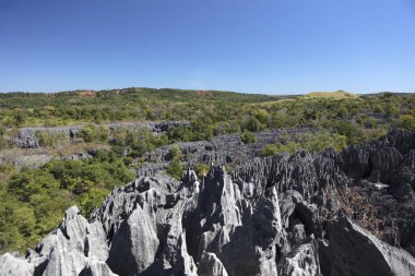 Madagaskar Tsingy De Bemaraha Milli Parklar güneşli bir yaz gününde