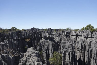 Madagaskar Tsingy De Bemaraha Milli Parklar güneşli bir yaz gününde