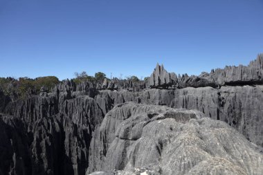 Madagaskar Tsingy De Bemaraha Milli Parklar güneşli bir yaz gününde