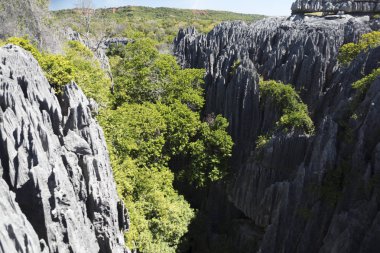 Madagaskar Tsingy De Bemaraha Milli Parklar güneşli bir yaz gününde
