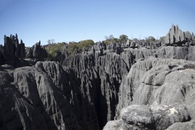 Madagaskar Tsingy De Bemaraha Milli Parklar güneşli bir yaz gününde