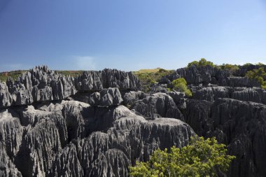 Madagaskar Tsingy De Bemaraha Milli Parklar güneşli bir yaz gününde