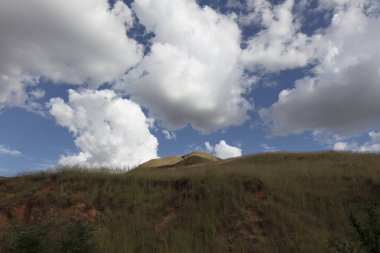 Güneşli bir yaz gününde Madagaskar manzara