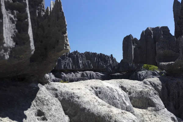 Madagascar Tsingy Bemaraha Parques Nacionales Día Soleado Verano — Foto de Stock