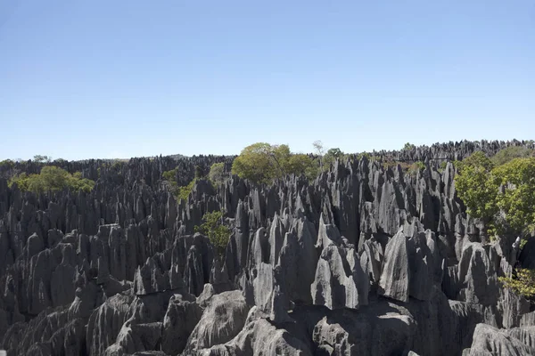 Madagaskar Tsingy De Bemaraha Milli Parklar güneşli bir yaz gününde