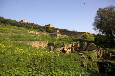 Güneşli bir günde Fas Rabat eski şehir kalıntıları