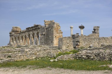Güneşli bir günde antik Roma kenti Volubilis Fas Harabeleri