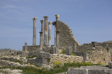Güneşli bir günde antik Roma kenti Volubilis Fas Harabeleri