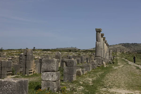 Μαρόκο Ερείπια Της Αρχαίας Ρωμαϊκής Πόλης Βολμπιλής Μια Ηλιόλουστη Μέρα — Φωτογραφία Αρχείου