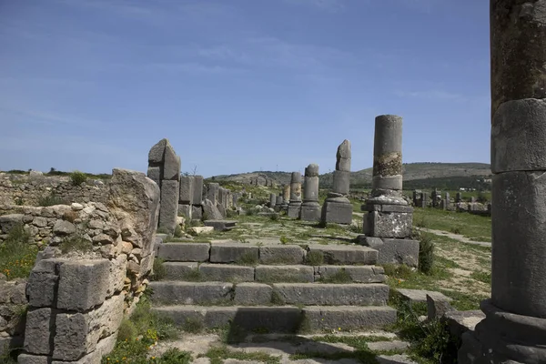 Marokkó Romjai Ókori Római Város Volubilis Egy Napsütéses Napon — Stock Fotó