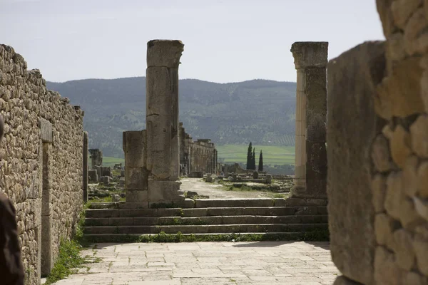 Μαρόκο Ερείπια Της Αρχαίας Ρωμαϊκής Πόλης Βολμπιλής Μια Ηλιόλουστη Μέρα — Φωτογραφία Αρχείου