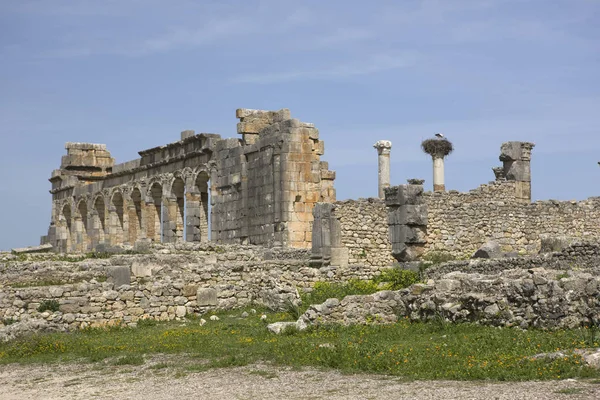 Μαρόκο Ερείπια Της Αρχαίας Ρωμαϊκής Πόλης Βολμπιλής Μια Ηλιόλουστη Μέρα — Φωτογραφία Αρχείου