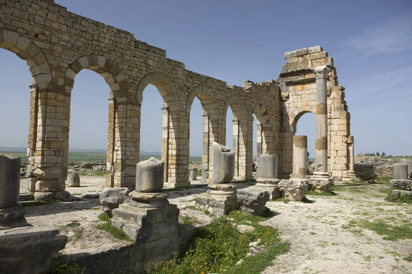 Marokkó Romjai Ókori Római Város Volubilis Egy Napsütéses Napon — Stock Fotó