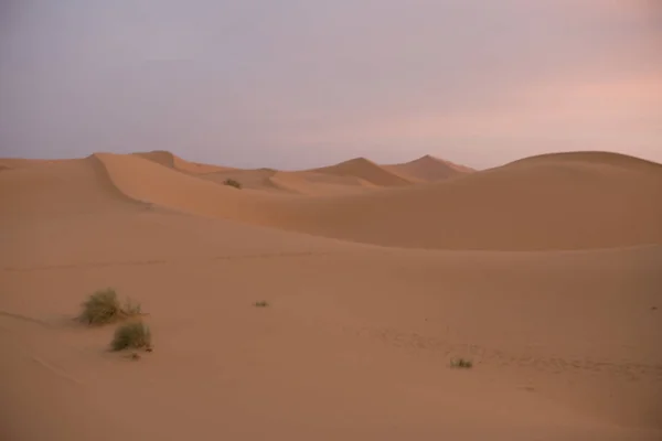 Marokko Sahara Wüste Der Nähe Von Merzouga Morgengrauen Des Frühlingstages — Stockfoto