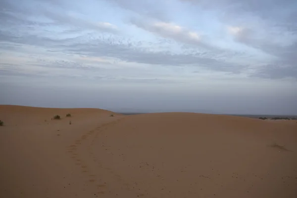 春の夜明けにメルズーガ近くのモロッコサハラ砂漠 — ストック写真