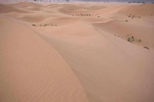 Marokko Sahara Wüste Der Nähe Von Merzouga Morgengrauen Des Frühlingstages — Stockfoto