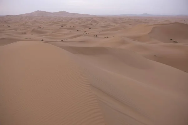 Maroko Sahara Blízkosti Merzougy Úsvitu Jarního Dne — Stock fotografie