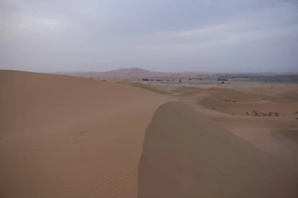 Maroko Sahara Blízkosti Merzougy Úsvitu Jarního Dne — Stock fotografie