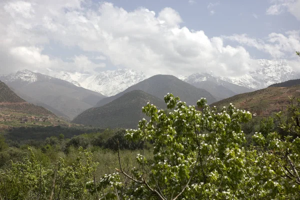 Marrocos Médio Atlas Paisagem Montanha Dia Primavera Ensolarado — Fotografia de Stock