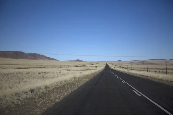 Namibia Savanna Landskap Solrik Dag – stockfoto