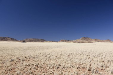 Güneşli bir yaz gününde Namibya savana manzara