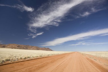 Güneşli bir yaz gününde Namibya savana manzara