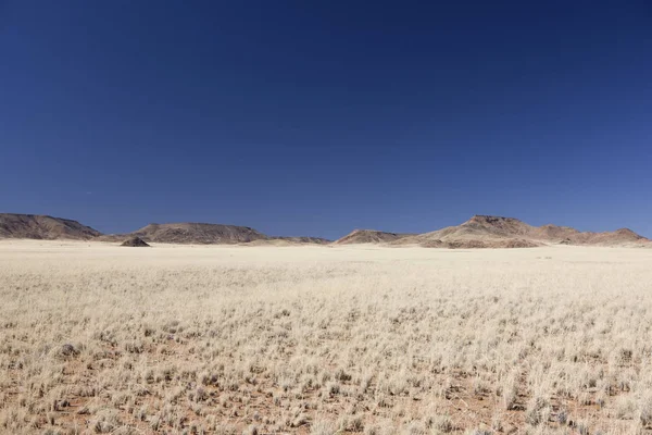 Namibia Savannah Landschaft Einem Sonnigen Sommertag — Stockfoto