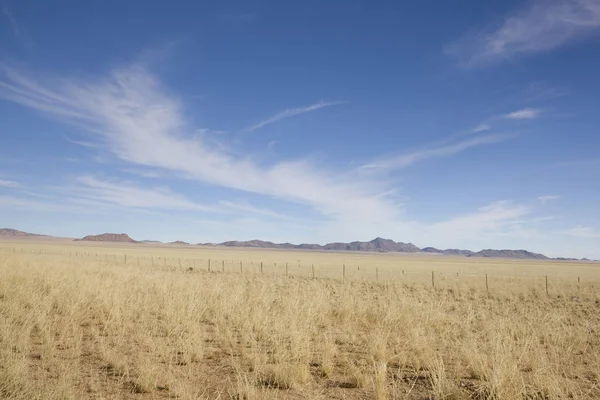 Namibia Savannah Landschaft Einem Sonnigen Sommertag — Stockfoto