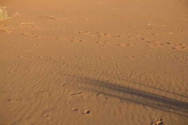 Namibia Namib Desert Surface Sand Closeup Sunny Day — Stock Photo, Image