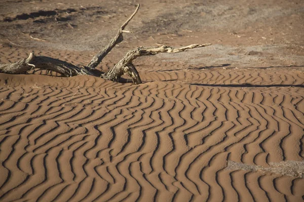 Намибия Намиб Пустынный Песок Крупным Планом Солнечный День — стоковое фото