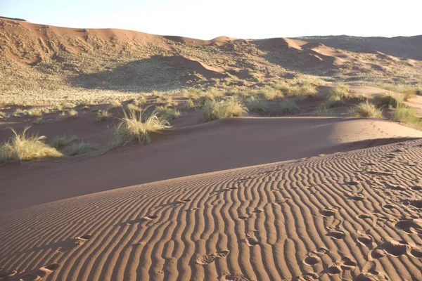 晴れた日のナミビアナミブ砂漠の表面砂のクローズアップ — ストック写真