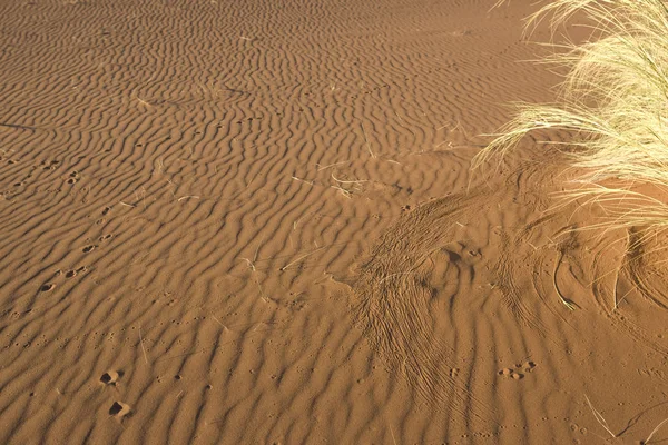 Namibia Namib Desert Surface Sand Closeup Sunny Day — Stock Photo, Image
