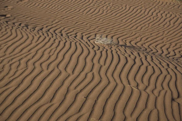 Namíbia Namíbia Deserto Superfície Areia Closeup Dia Ensolarado — Fotografia de Stock