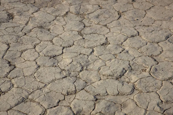 Namib Desert Death Valley Namib Deadvlei Sunny Summer Day — Stock Photo, Image