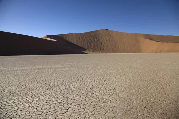 Namib Пустелі Долині Смерті Namib Deadvlei Сонячний День Літа — стокове фото