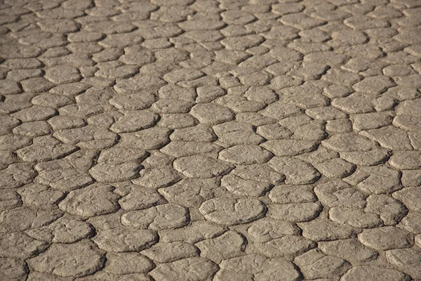 Namib Desert Death Valley Namib Deadvlei Dia Ensolarado Verão — Fotografia de Stock