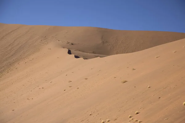 Намібія Namib Пустелі Гігантських Дюн Сонячний День Літа — стокове фото