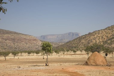 Güneşli bir yaz gününde Namibya manzara